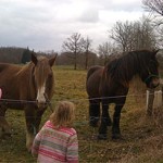 girls_see_horses