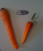 carrot_magnets