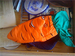 carrot_oven_glove