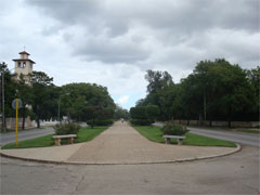 avenida_quinta