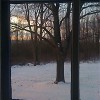 side_yard_am