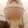 the_bowl the_bowl