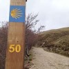 50_on_the_camino
